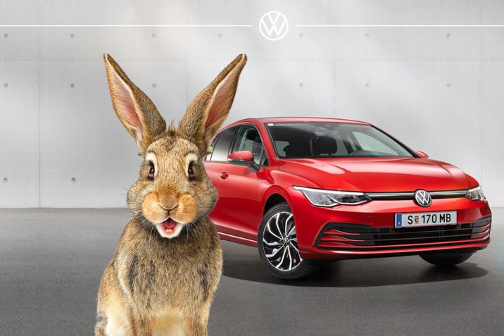 Der Rabbit 45